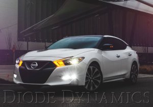Nissan Maxima LED Boards - Diode Dynamics - SB DRL - `16-`18